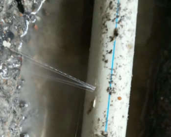 元谋卫生间测漏水多少钱